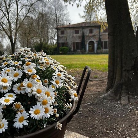 Agriturismo Corte San Girolamo 만토바 외부 사진