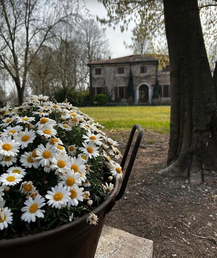Agriturismo Corte San Girolamo 만토바 외부 사진