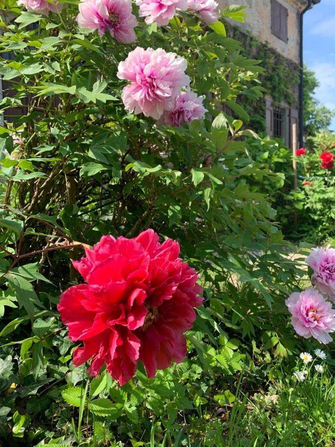 Agriturismo Corte San Girolamo 만토바 외부 사진