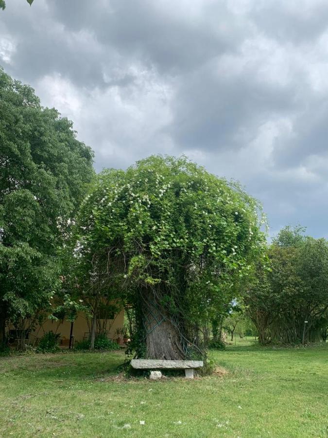 Agriturismo Corte San Girolamo 만토바 외부 사진