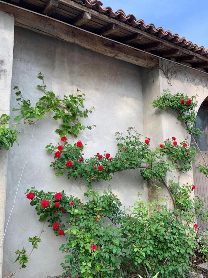 Agriturismo Corte San Girolamo 만토바 외부 사진