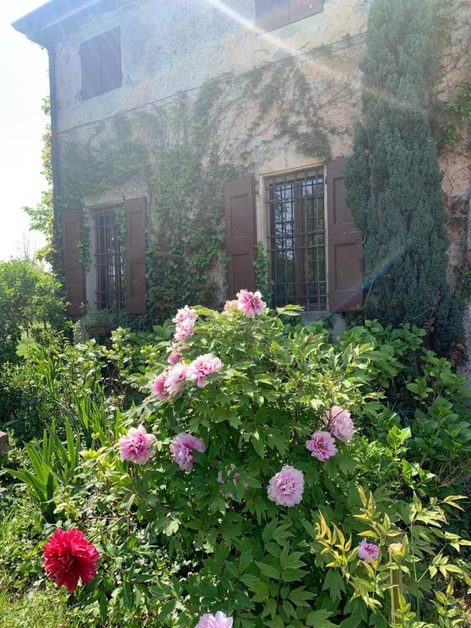 Agriturismo Corte San Girolamo 만토바 외부 사진