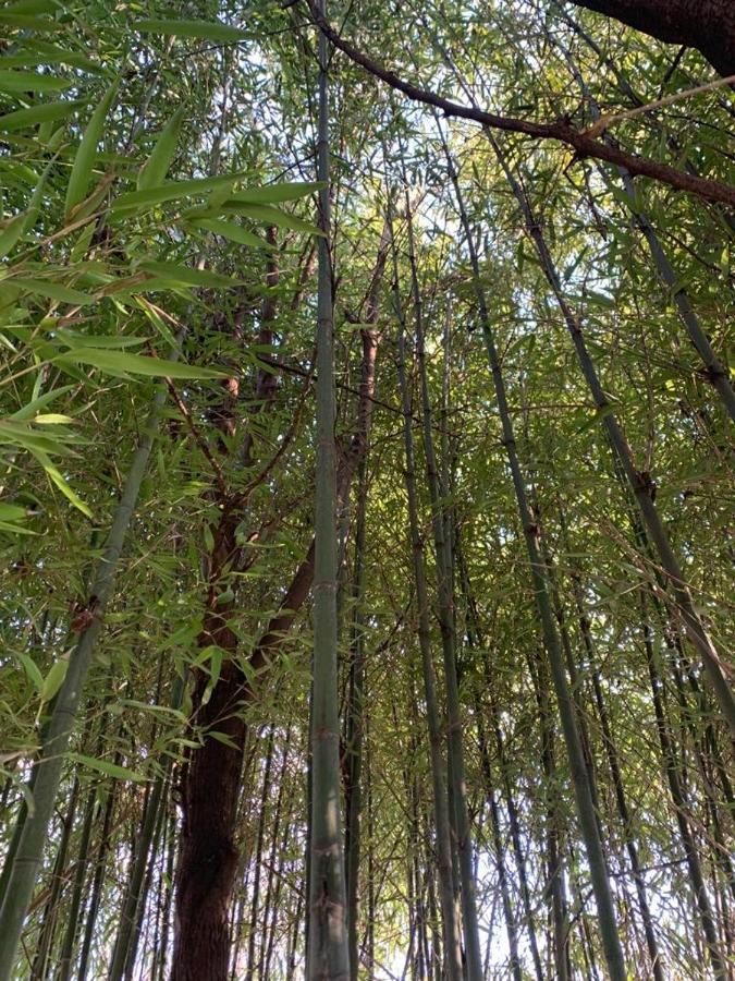 Agriturismo Corte San Girolamo 만토바 외부 사진