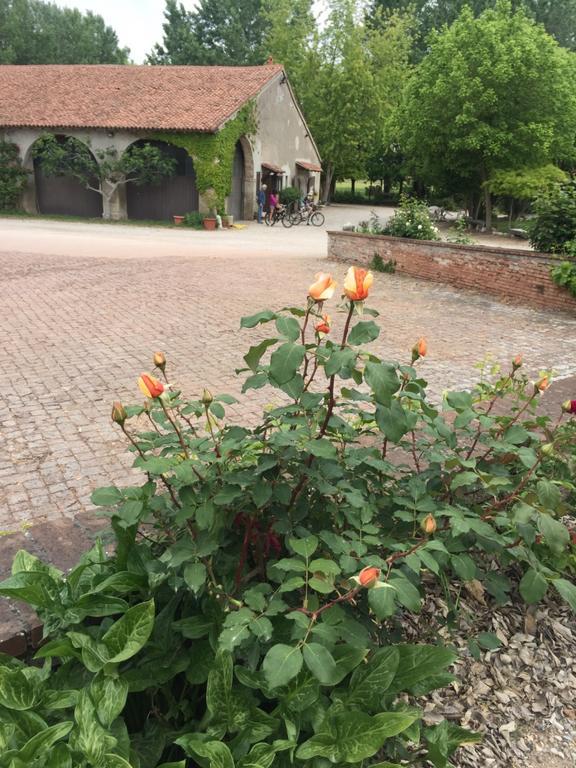 Agriturismo Corte San Girolamo 만토바 외부 사진
