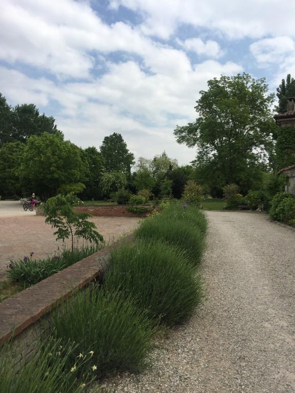 Agriturismo Corte San Girolamo 만토바 외부 사진