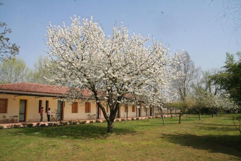 Agriturismo Corte San Girolamo 만토바 외부 사진